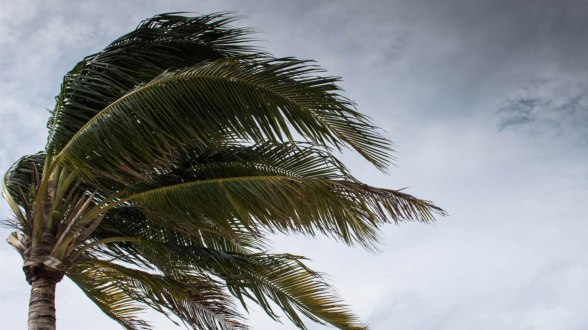 Tropical Storm Idalia heads towards Florida