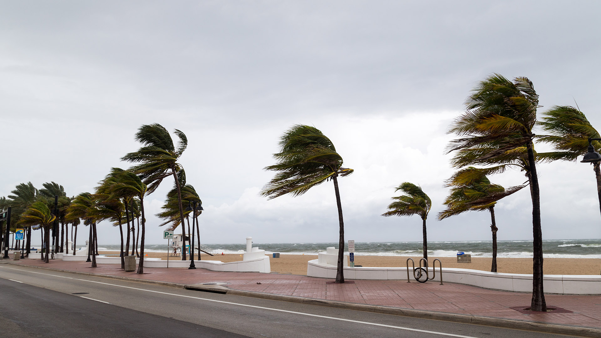 El Niño is Fueling Winter Storms that are Impacting Florida