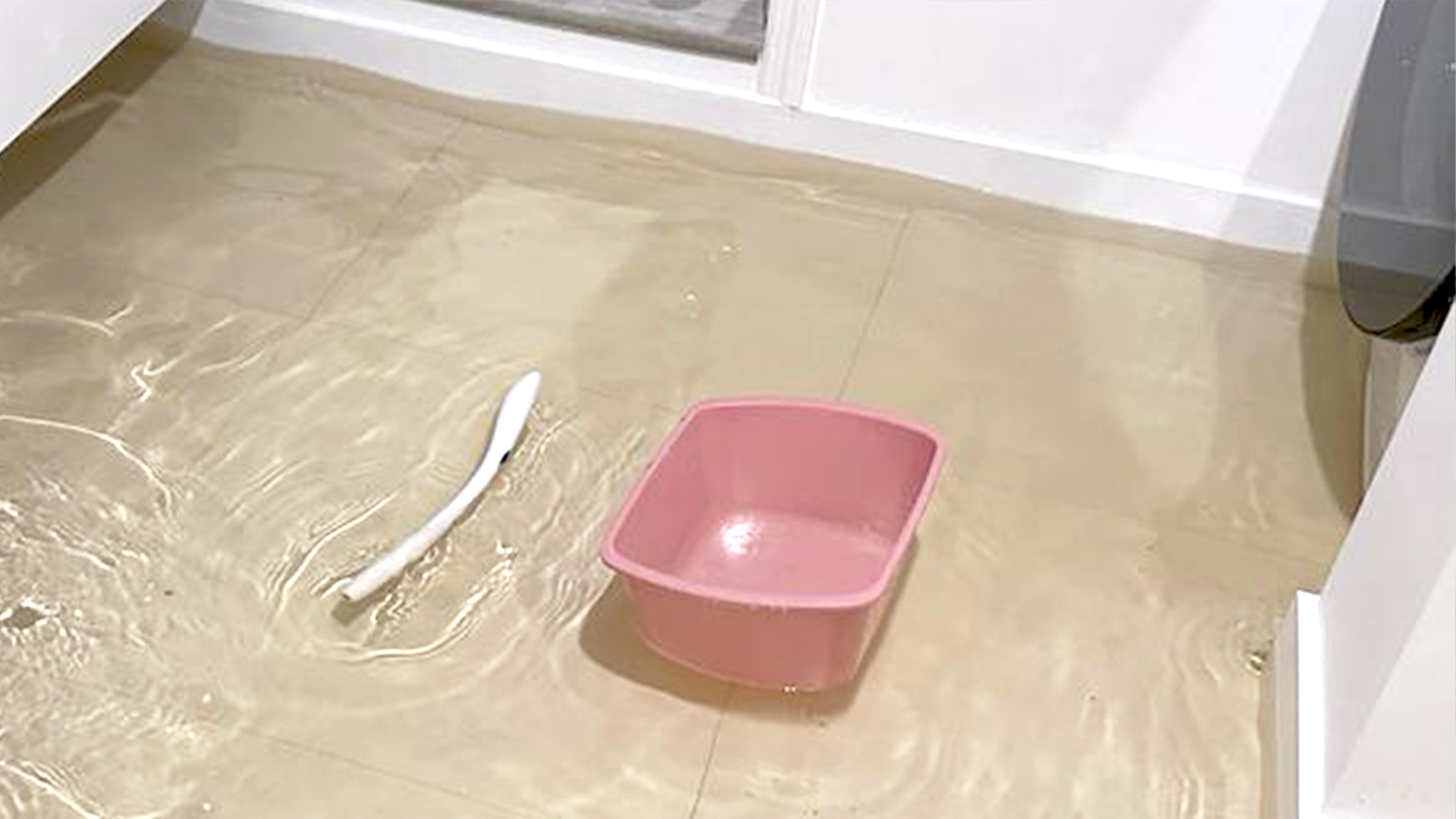 Questions about water damage claims from homeowners