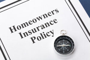 Homeowners insurance policy which you should check to see if you can submit a mold damage claim.