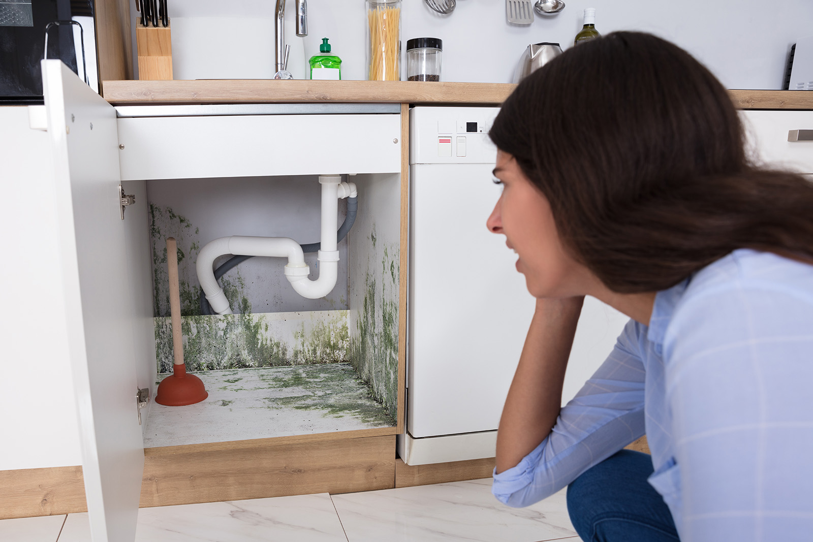 Woman looking at the mold growing underneath sink inside kitchen cabinet wondering about a mold damage claim.